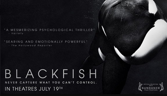 Blackfish_documentary_banner